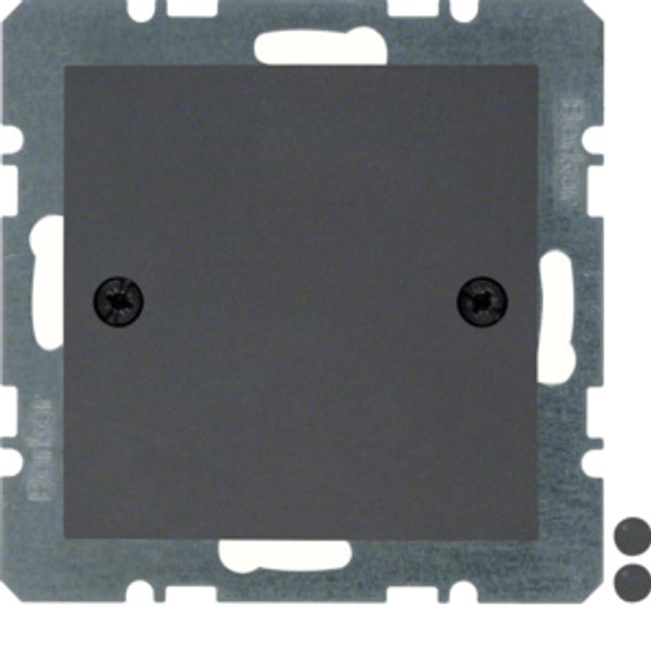 Blind plug centre plate, screw-on, B.3/B.7, ant., matt image 1