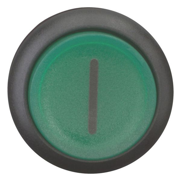 Illuminated pushbutton actuator, RMQ-Titan, Extended, momentary, green, inscribed, Bezel: black image 4