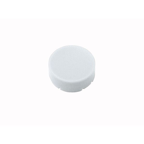 Button plate, raised white, blank image 1