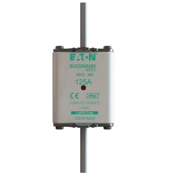 Fuse-link, low voltage, 125 A, AC 500 V, NH2, aM, IEC, dual indicator image 1