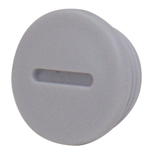 Metric blanking plug M20x1.5 image 1