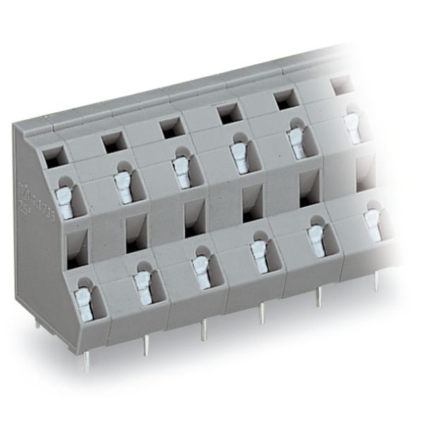 Double-deck PCB terminal block 2.5 mm² Pin spacing 10 mm gray image 6