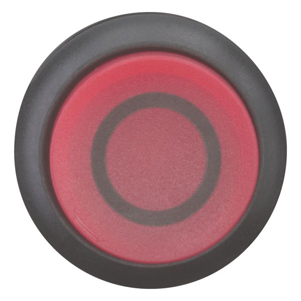 Illuminated pushbutton actuator, RMQ-Titan, Extended, maintained, red, inscribed, Bezel: black image 6