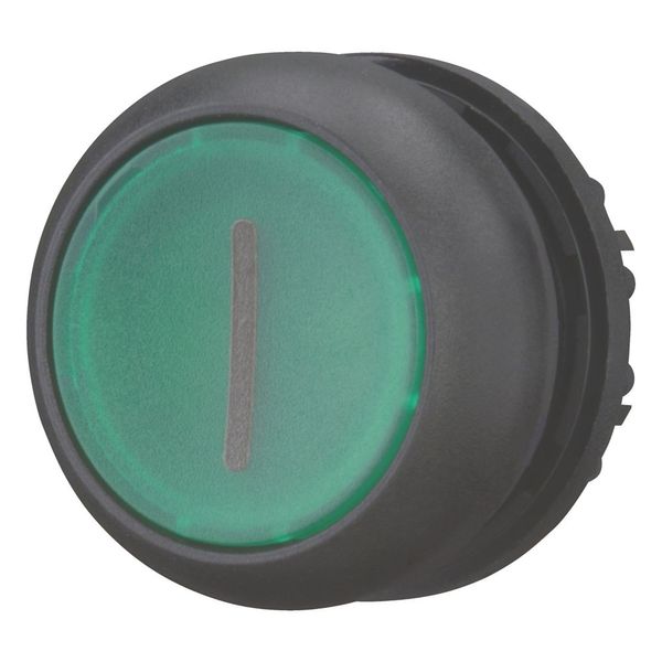 Illuminated pushbutton actuator, RMQ-Titan, Flush, maintained, green, inscribed, Bezel: black image 5