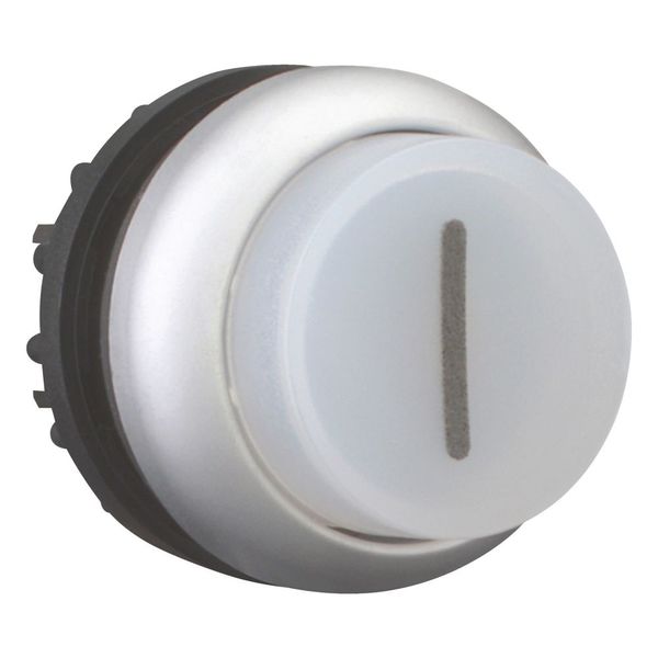 Illuminated pushbutton actuator, RMQ-Titan, Extended, momentary, White, inscribed 1, Bezel: titanium image 6