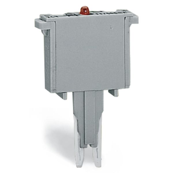 Component plug for carrier terminal blocks 2-pole gray image 5