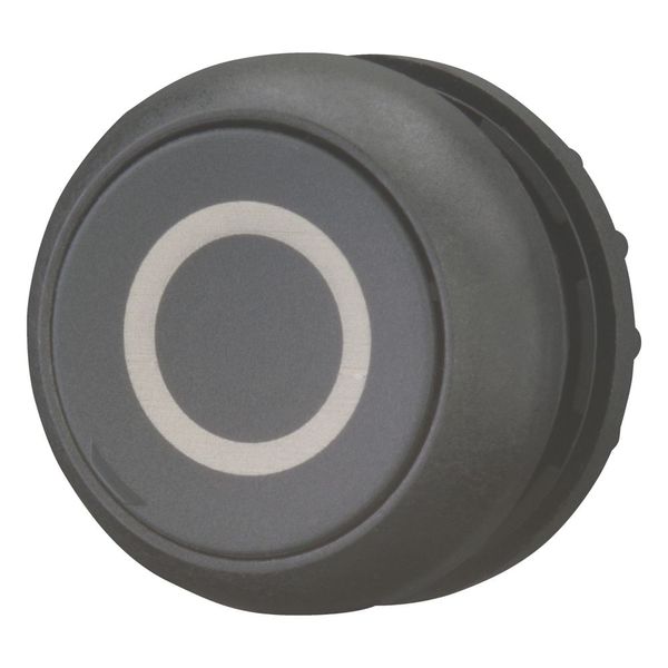 Pushbutton, RMQ-Titan, Flat, momentary, black, inscribed, Bezel: black image 11