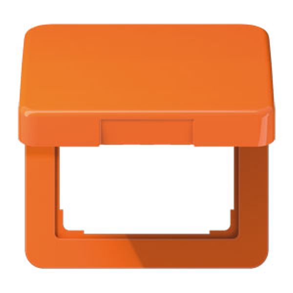 Centre plate with hinged lid CD590BFKLO image 4