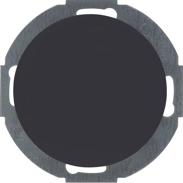 Blind plug centre plate, R.classic, black glossy image 1