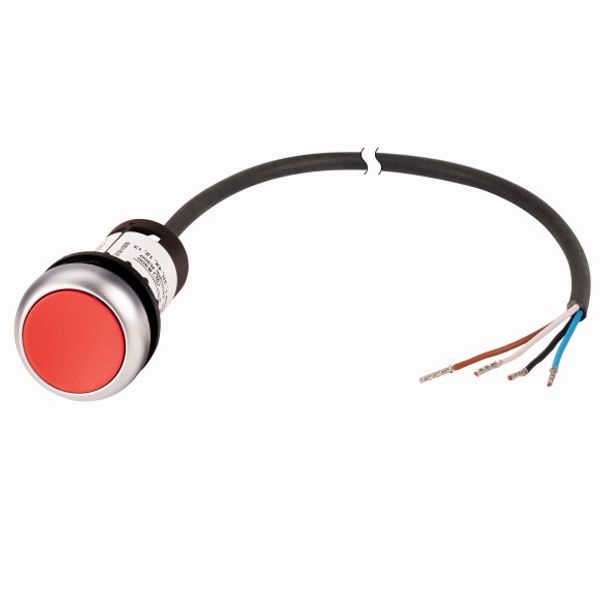 Pushbutton, Flat, momentary, 1 NC, Cable (black) with non-terminated end, 4 pole, 1 m, red, Blank, Bezel: titanium image 1