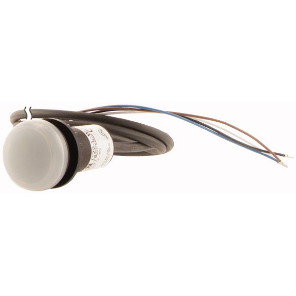 Indicator light, Flat, Cable (black) with non-terminated end, 4 pole, 1 m, Lens white, LED white, 24 V AC/DC image 3