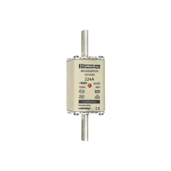 Fuse-link NH1 gG 500VAC 224A live tags Double indicator image 2