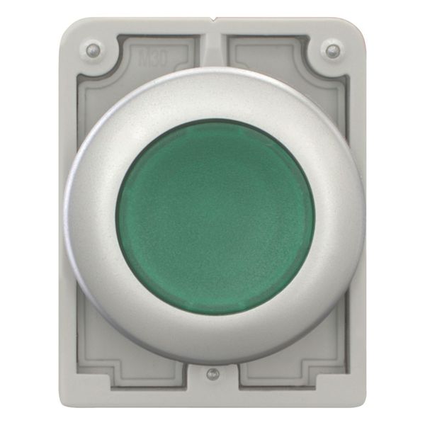 Illuminated pushbutton actuator, RMQ-Titan, Flat, momentary, green, Blank, Metal bezel image 2