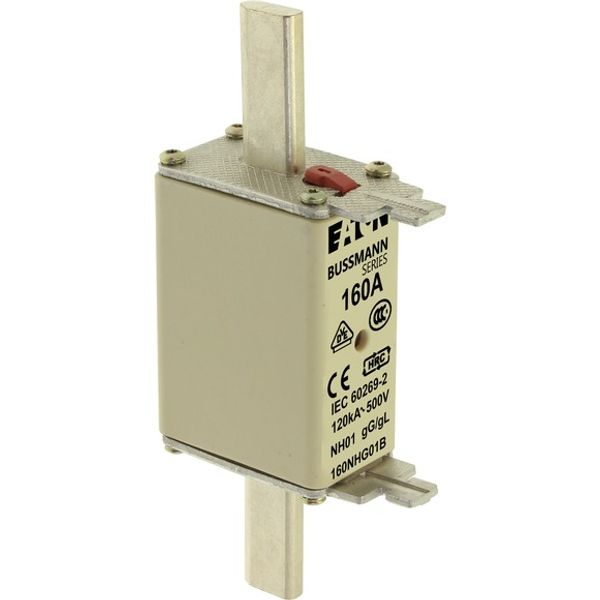 Fuse-link, LV, 160 A, AC 500 V, NH01, gL/gG, IEC, dual indicator, live gripping lugs image 5
