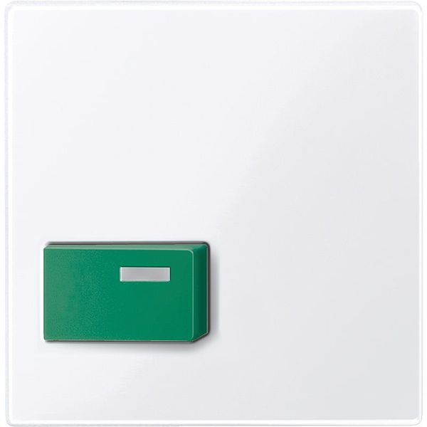 Central plate for stop button, green, active white glossy, system M image 1