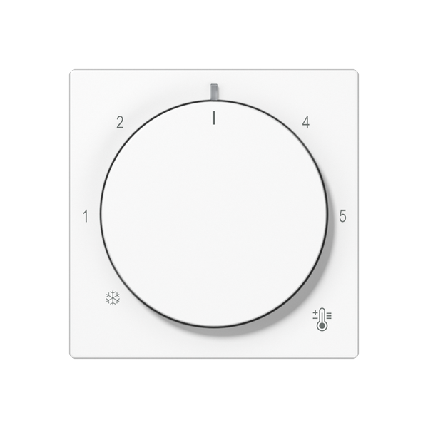 Centre plate with knob room thermostat A1749BFWW image 1