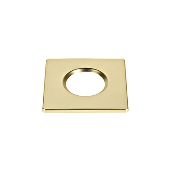 UNIVERSAL DOWNLIGHT cover for Downlight IP65  gold matt image 1