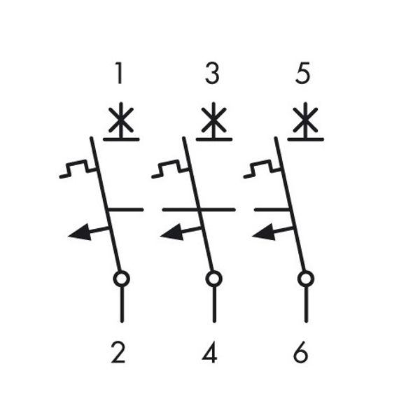 Miniature Circuit Breaker (MCB) AMPARO 6kA, B 13A, 3-pole image 8