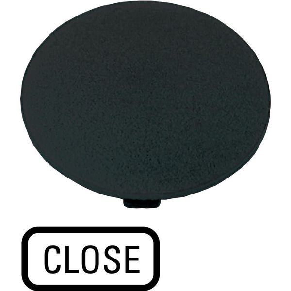 Button plate, mushroom black, CLOSE image 2