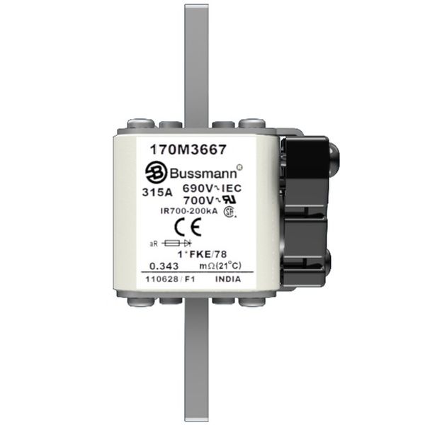 Fuse-link, high speed, 315 A, AC 690 V, compact size 1, 45 x 59 x 110 mm, aR, IEC, UL image 1