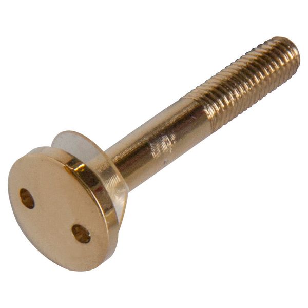 Long brass screw Patavium panel (new) image 1