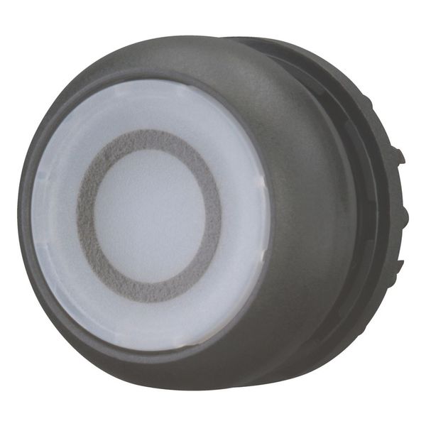 Illuminated pushbutton actuator, RMQ-Titan, Flush, momentary, White, inscribed 0, Bezel: black image 6