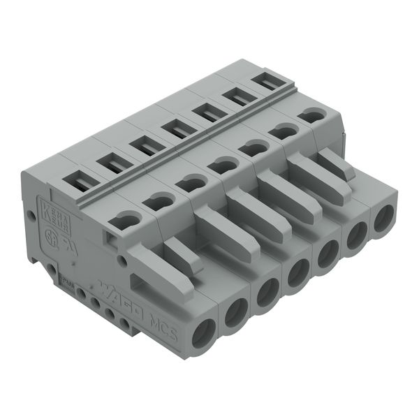 1-conductor female connector CAGE CLAMP® 2.5 mm² gray image 1