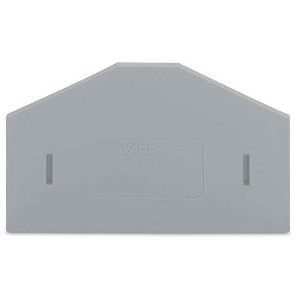 Separator plate 2 mm thick oversized gray image 2