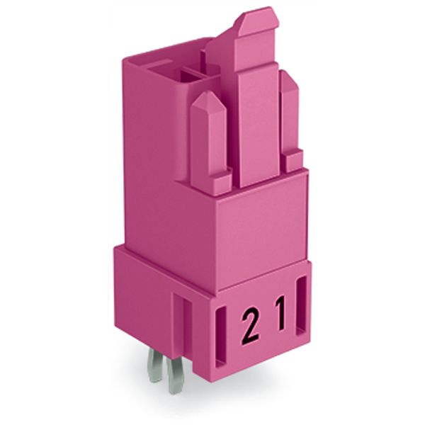 Plug for PCBs straight 2-pole pink image 3