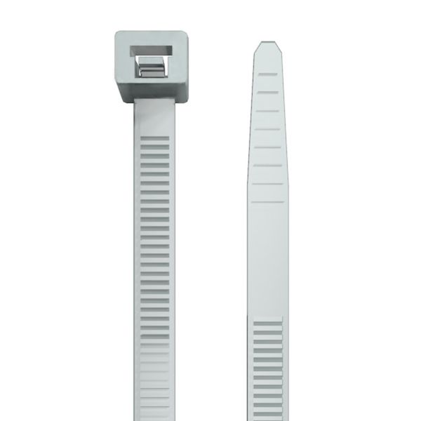 Cable tie, 12.5 mm, Polyamide 66, 1080 N, Natural image 2