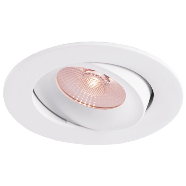 LED Downlight 8W Dim to Warm 520lm IP44 38° CRI>90 PF>0,9 (Internal Driver Included) RAL9003 THORGEON image 2