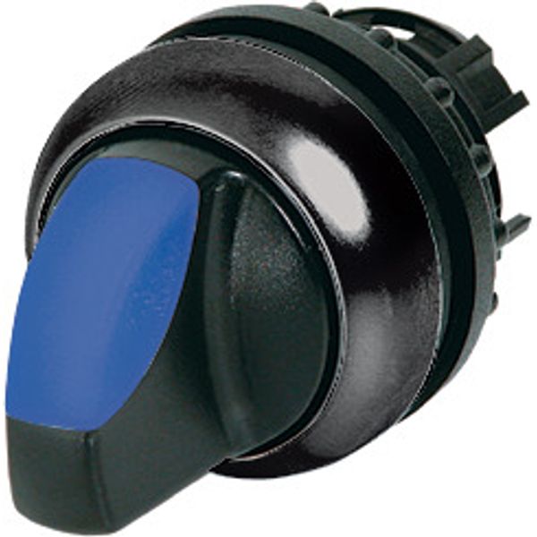 Illuminated selector switch actuator, RMQ-Titan, With thumb-grip, momentary, 2 positions, Blue, Bezel: black image 1