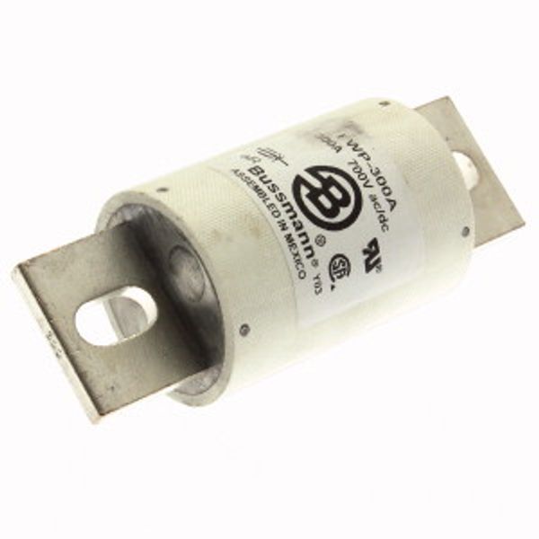 LIMITRON FAST ACTING FUSE image 25