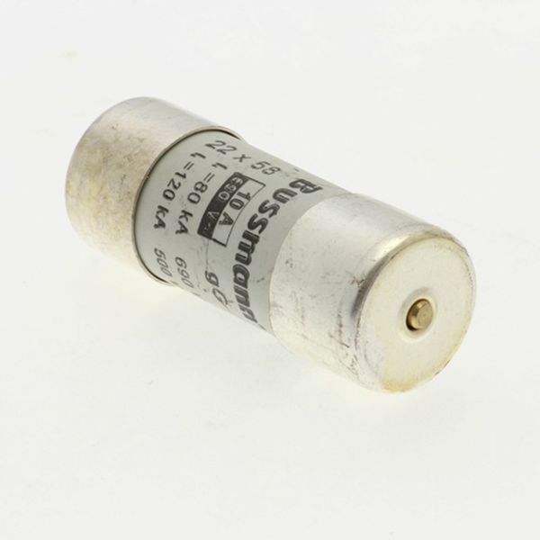 Fuse-link, LV, 10 A, AC 690 V, 22 x 58 mm, gL/gG, IEC, with striker image 4