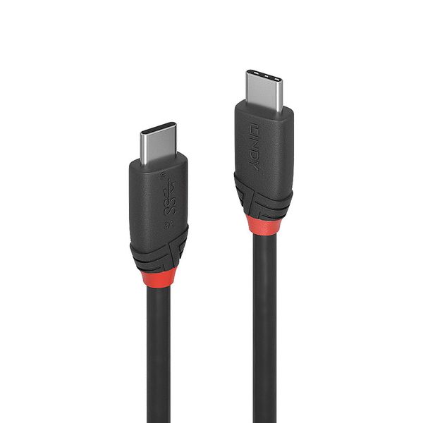 1.5m USB 3.2  Type C to C Cable, 20Gbps, 3A, Black Line USB Type C Male to C Male image 1