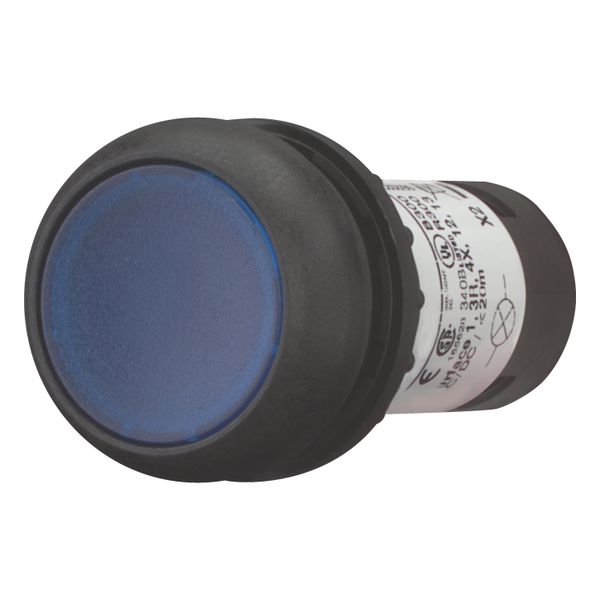 Illuminated pushbutton actuator, Flat, momentary, 1 N/O, Screw connection, LED Blue, Blue, Blank, 24 V AC/DC, Bezel: black image 2