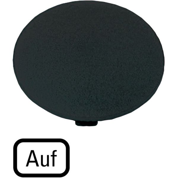 Button plate, mushroom black, UP image 3