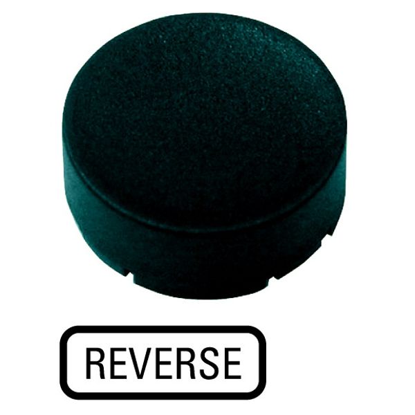 Button plate, raised black, REVERSE image 1