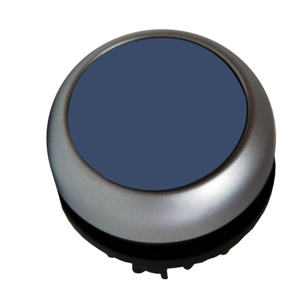 Push-button flat, stay-put, blue image 1