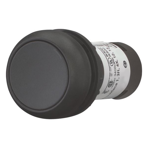 Pushbutton, Flat, maintained, 1 NC, Screw connection, black, Blank, Bezel: black image 2