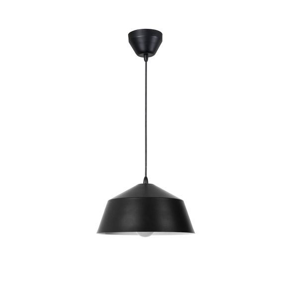 Pendant IP20 Bowl Ø250mm E27 40W Black image 1