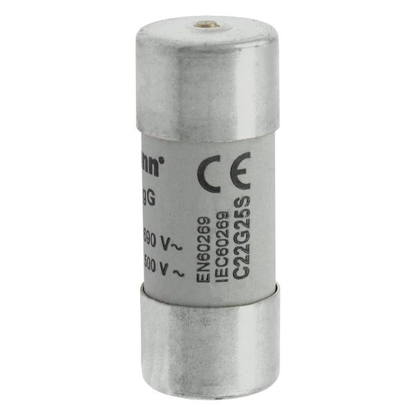 Fuse-link, LV, 25 A, AC 690 V, 22 x 58 mm, gL/gG, IEC, with striker image 11