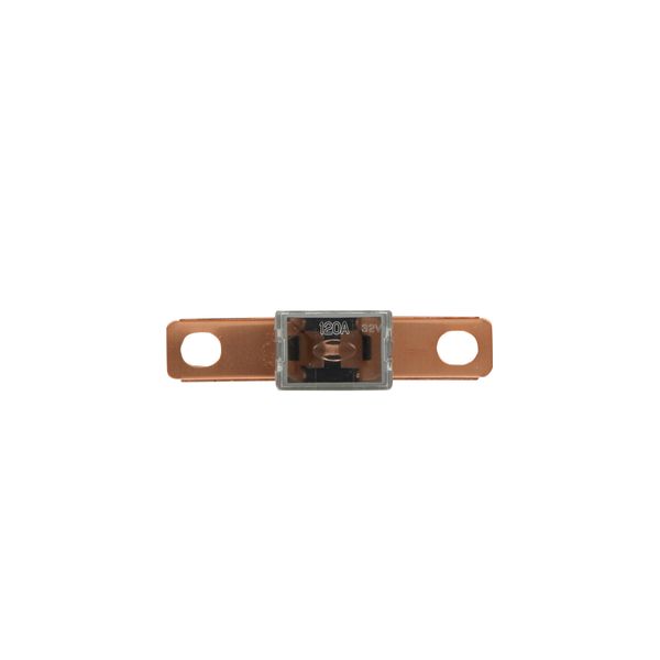 Fuse-link, Overcurrent NON SMD, 100 A image 1