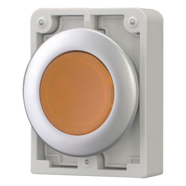 Illuminated pushbutton actuator, RMQ-Titan, Flat, momentary, orange, Blank, Metal bezel image 3