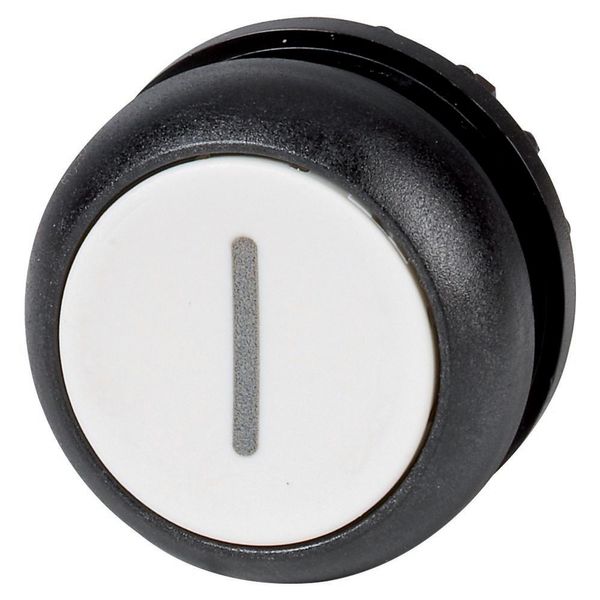 Pushbutton, RMQ-Titan, Flat, maintained, White, inscribed, Bezel: black image 5