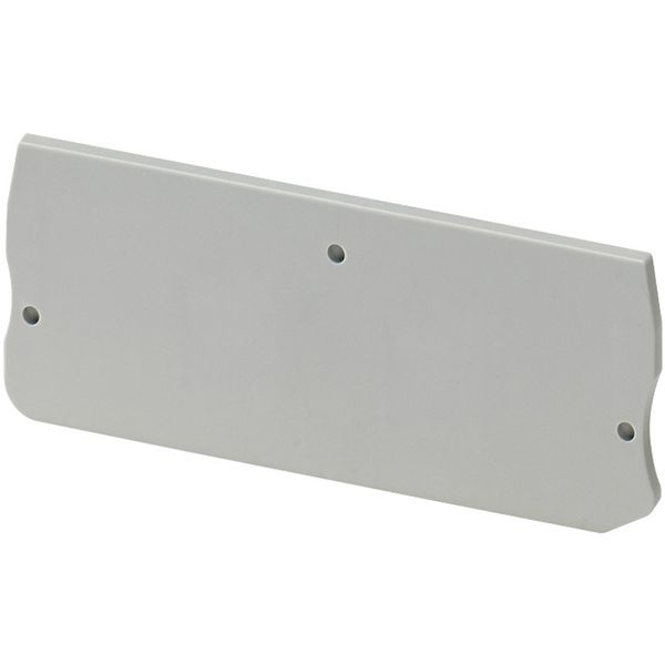END COVER, 2PTS, 2,2MM WIDTH, FOR PUSH-IN DISCONNECT TERMINAL NSYTRP2 image 1