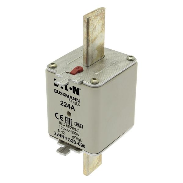 Fuse-link, LV, 224 A, AC 690 V, NH2, gL/gG, IEC, dual indicator, live gripping lugs image 9