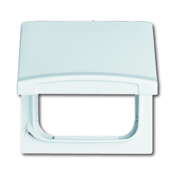 2118 GK-32 CoverPlates (partly incl. Insert) Flush-mounted, water-protected, special connecting devices White image 1