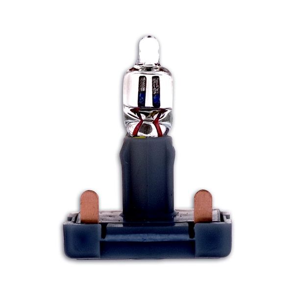 8338-1 Accessories Neon/incandescent lamps flush mounted image 1