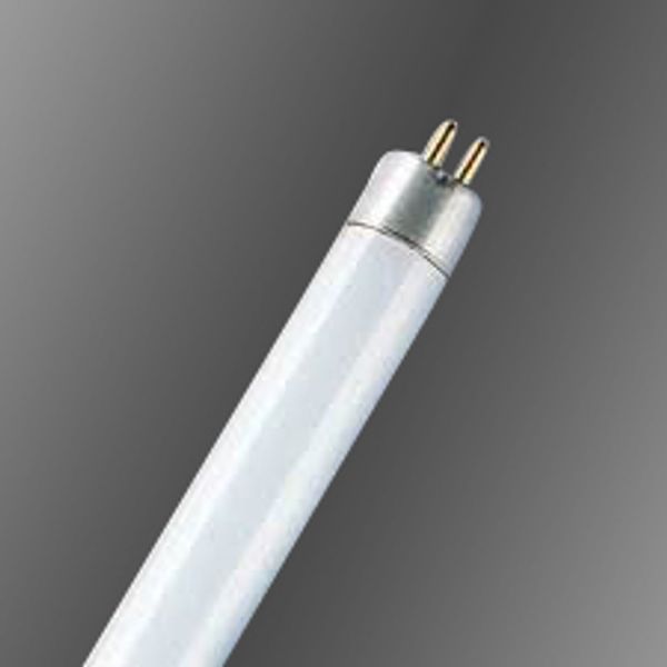 T5 14W/840 G5 FLH1, neutral white, Fluorescent Lamp image 1